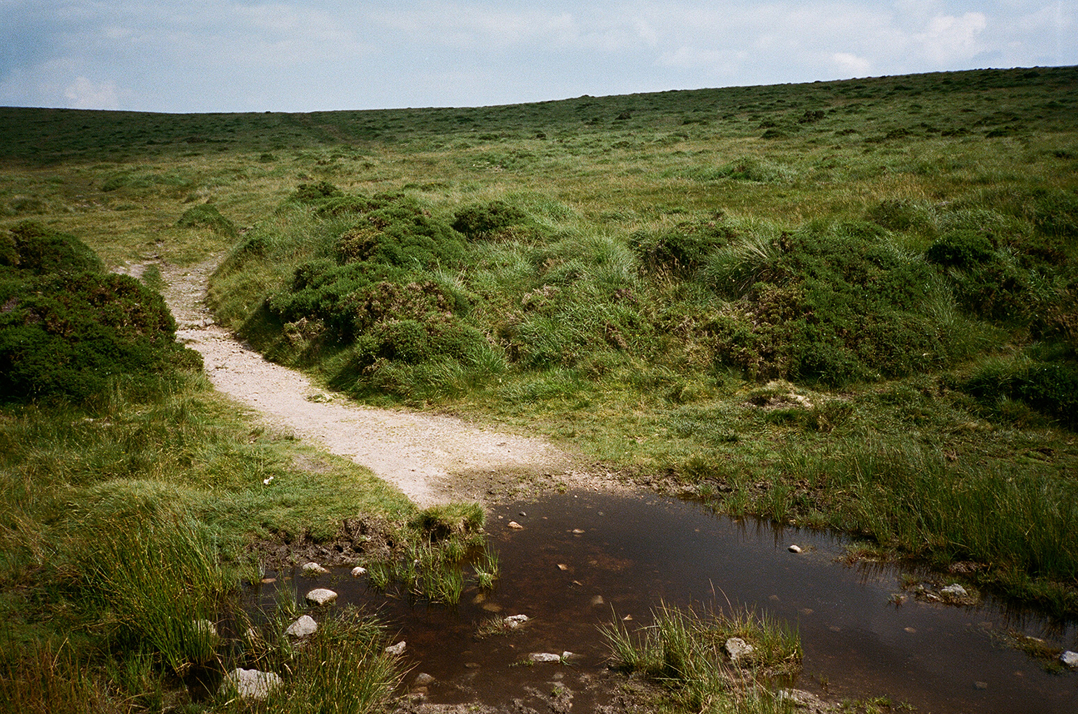 Dartmoor, 2012